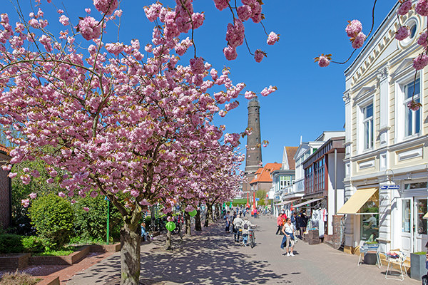 Kirschblüte am neuen Leuchtturm
