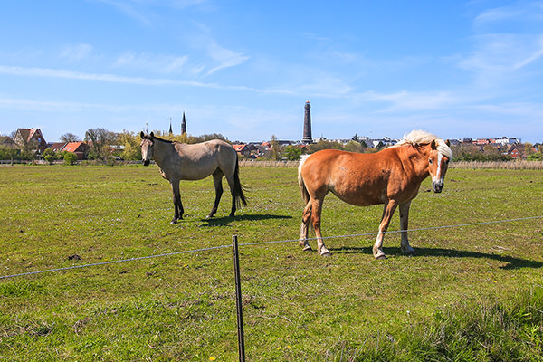 Panorama von Borkum