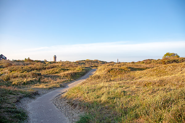 Herbst in den Borkumer Dünen